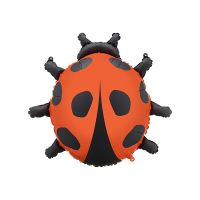 FB287<br>Supershape Ladybug